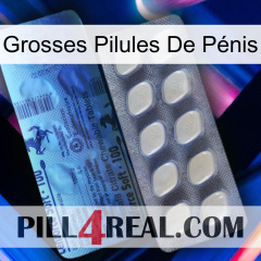 Grosses Pilules De Pénis 34